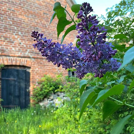 Appartamento Alte Baeckerei Gnade Auf Ruegen Sehlen Esterno foto